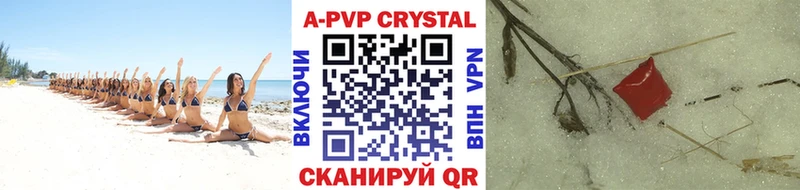 Купить  Нестеров  Alfa_PVP СК КРИС 