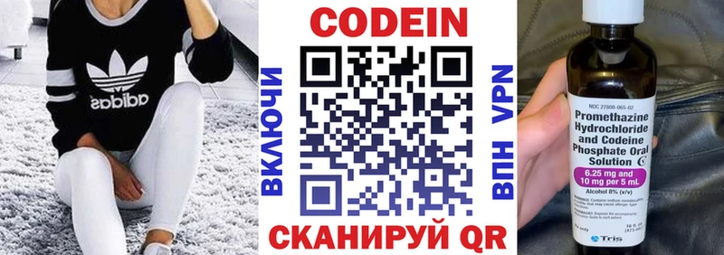 Купить закладки  Нестеров  Кодеин Purple Drank 